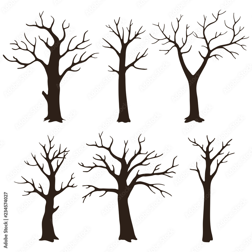 Set of bare tree silhouettes with leafless branches isolated on a white background. Set of bare tree silhouettes with leafless branches isolated on a white background.