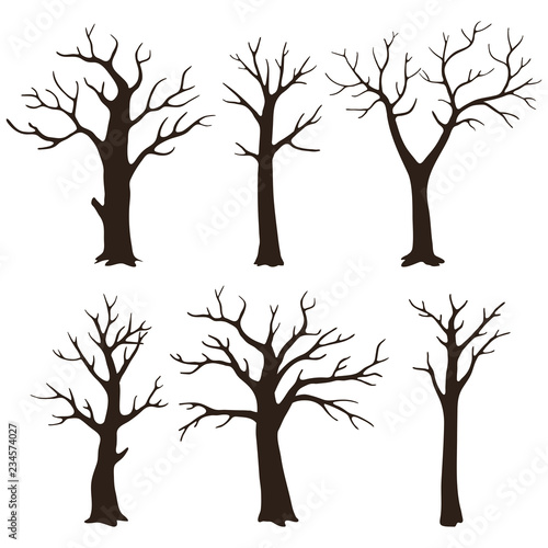 Set of bare tree silhouettes with leafless branches isolated on a white background.