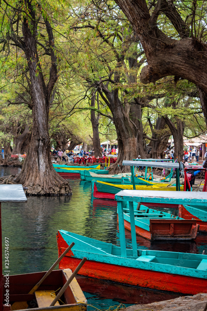 Obraz premium camecuaro