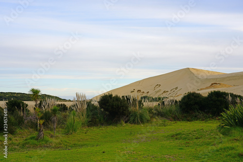 View of the TePaki Giant Sand Dunes at Cape Reinga (Te Rerenga Wairua), the northwesternmost tip of the Aupouri Peninsula, at the northern end of the North Island of New Zealand photo