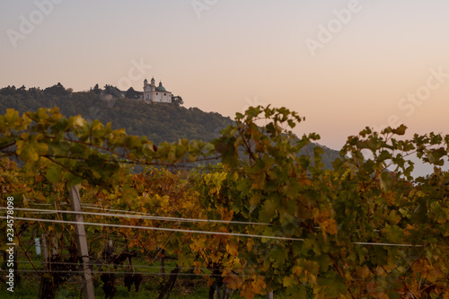 The Leopoldskirche on top of the Leopoldsberg in Vienna on an early morning photo