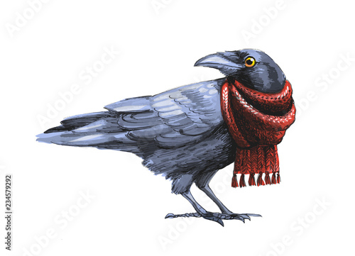Photo black crow sketch in red knitted scarf