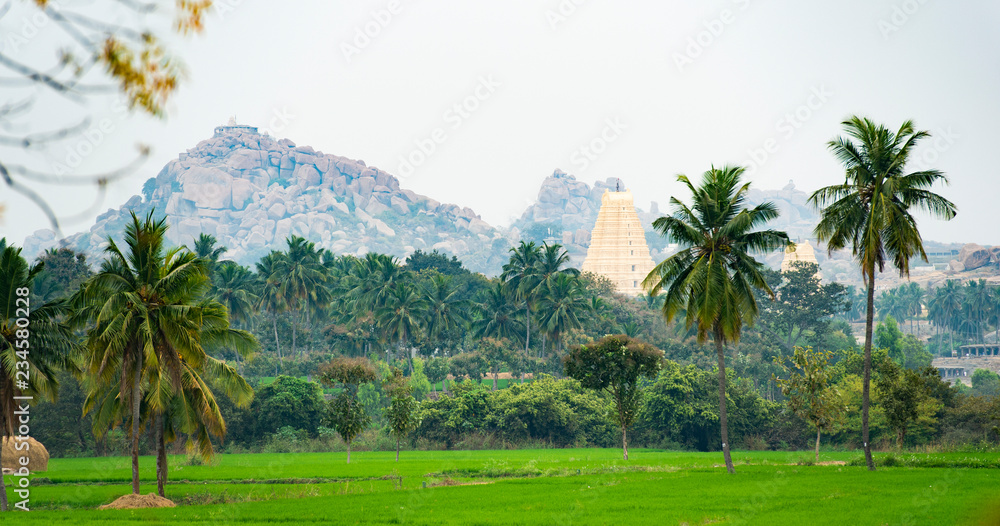 Virupaksha temple surrounded by green rice fields and beautiful palm trees. Hampi, Karnataka, India