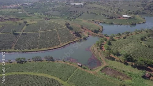 2K Top Aerial view of tea plantations in Vietnam. Flying over agriculture farm land in countryside valley and beautiful river.