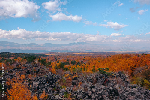 the mountain autumn landscape with colorful forest