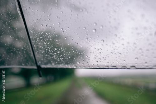 The rainy day