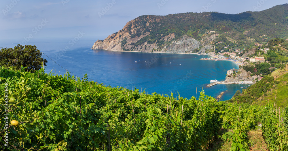 Vineyard overlooking the Cinque Terre hiking trail between Monterosso al Mare and Riomaggiore in Italy