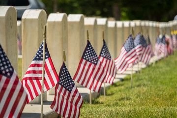 Military Headstones and American Flags on Memorial Day Shallow Depth of Field