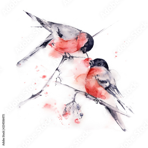 Canvas Print watercolor illustration of winter birds bullfinch