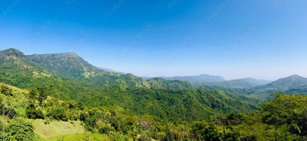 The forest, the mountain and the sky. Panorama landscape.