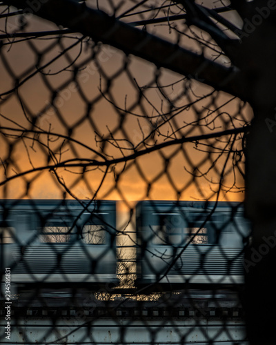 Urban View
