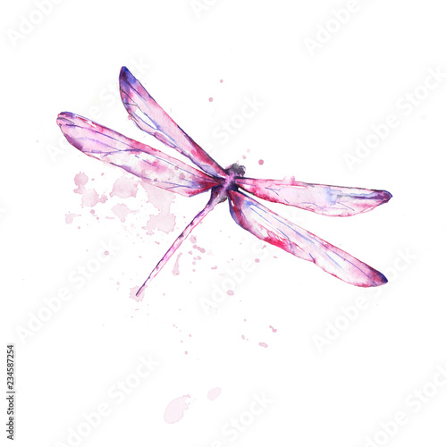 dragonfly watercolor pink splashes photo