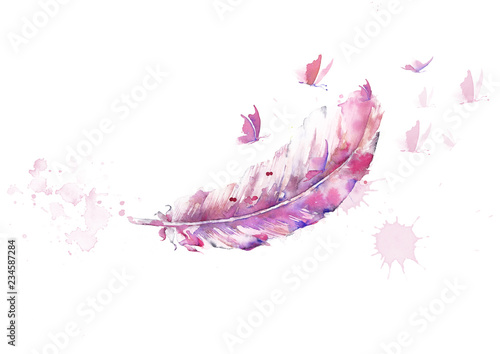 watercolor illustration of feather and butterfly pink