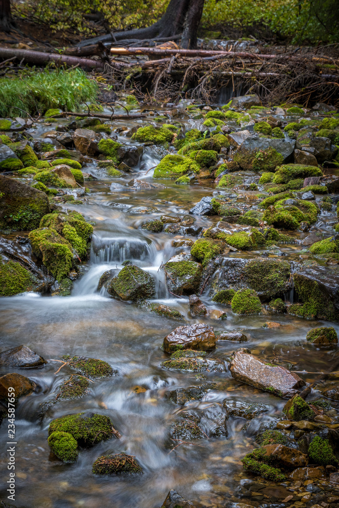 Obraz premium Flowing River Stream With Moss Covered Rocks