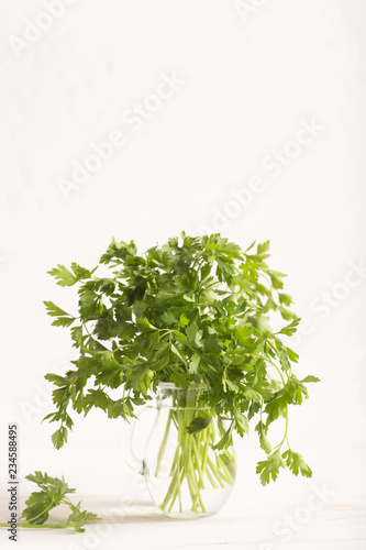 Fresh parsley leaves from the garden in the glass. White background