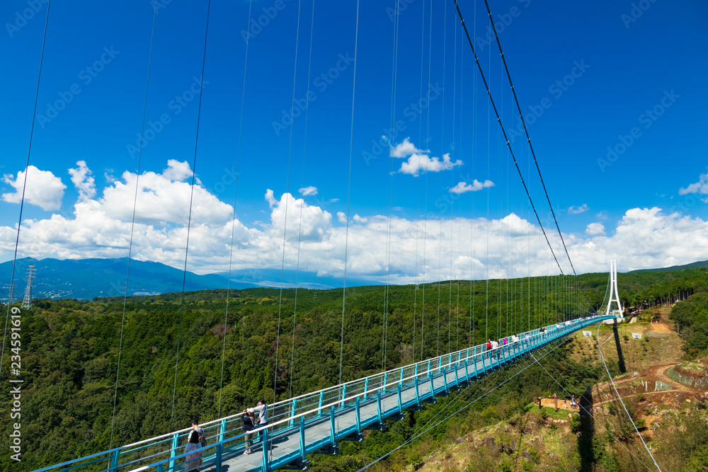 Obraz premium 三島スカイウォーク 三島市の大吊橋