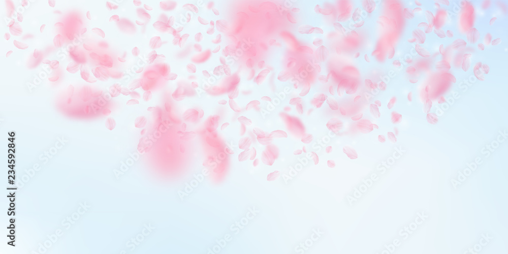 Sakura petals falling down. Romantic pink flowers Sakura petals falling down. Romantic pink flowers