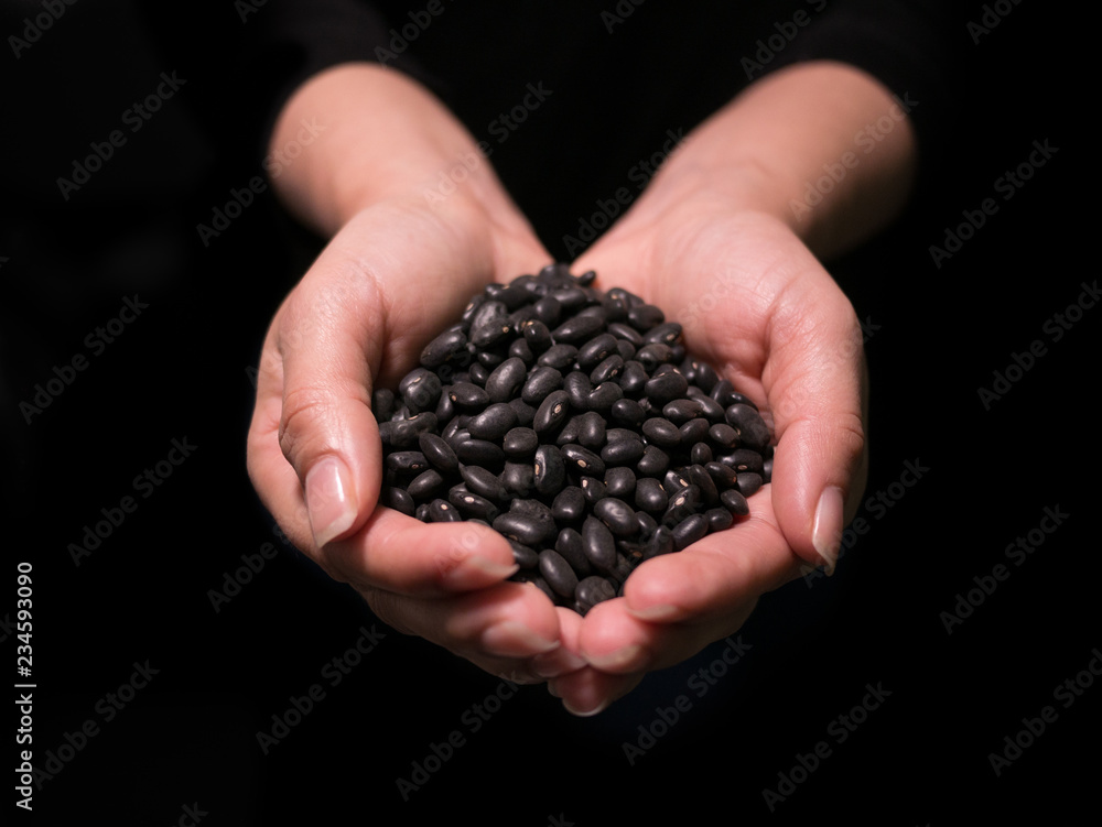 Woman's hands holding raw uncooked black beans from front shallow focus with black background. Woman's hands holding raw uncooked black beans from front shallow focus with black background.