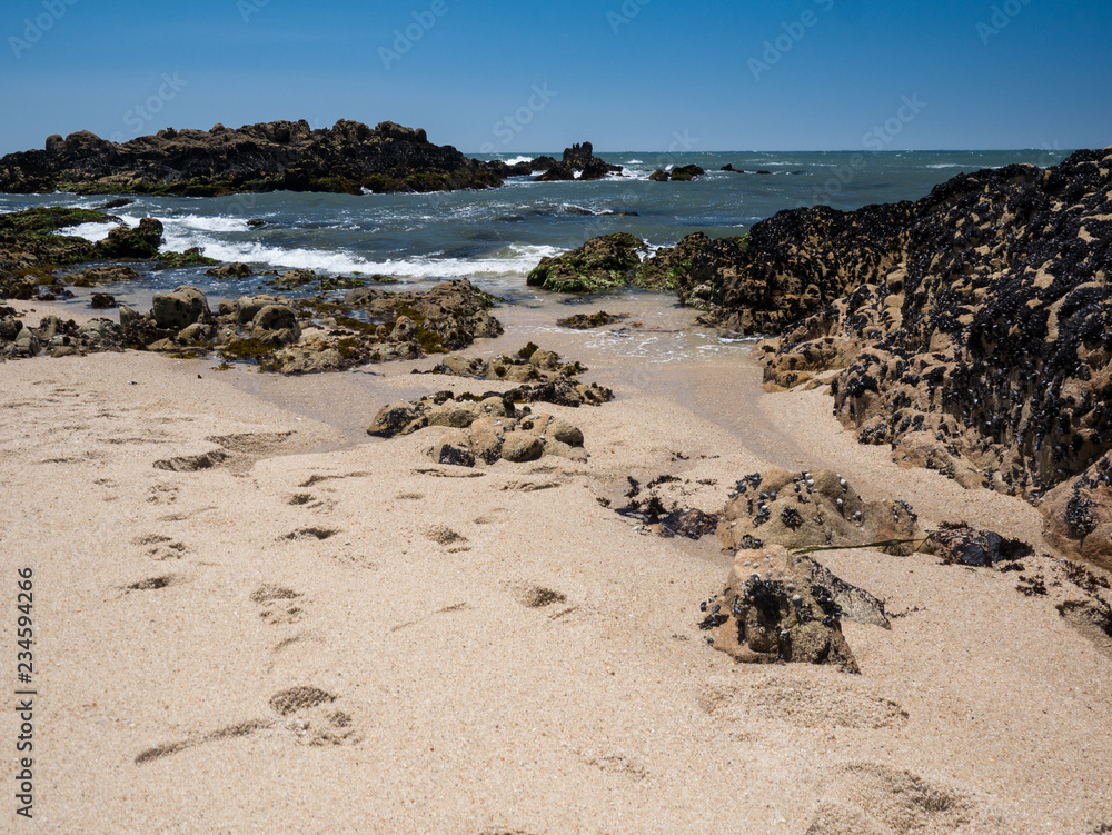 Sunny beach on a summer day in Portugal with golden sand, rocks and Atlantic ocean in background. Povoa de Varzim, Porto.