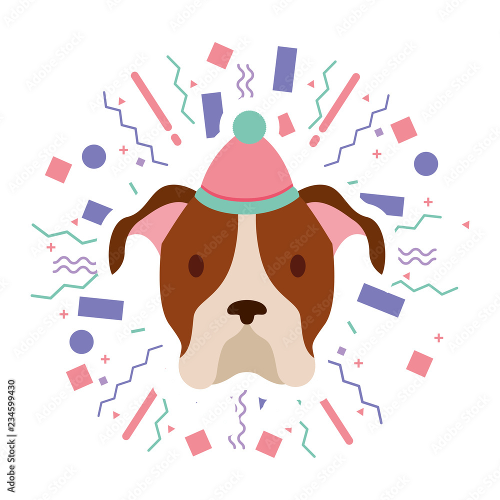 dog party celebration dog party celebration