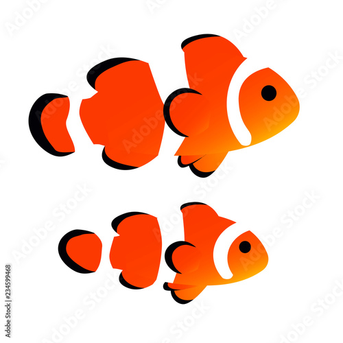 Fototapeta clownfish