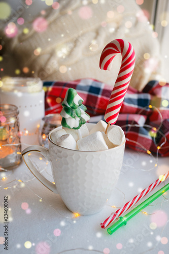 Winter hot drink. Hot chocolate or cocoa with marshmallow and candy on white background. Xmas christmas happy new year concept