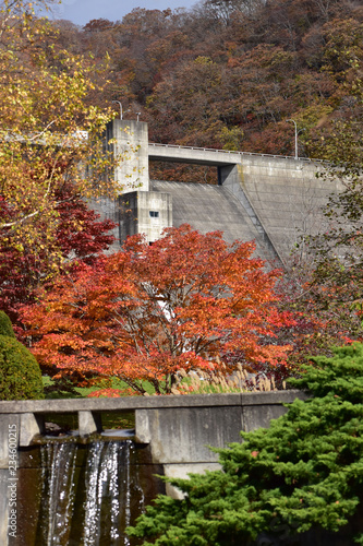 ダム公園と紅葉