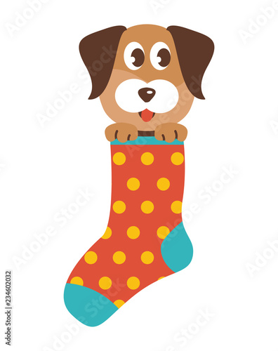 Dog in a Sock
