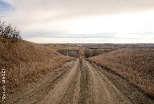 Dirt Country Road