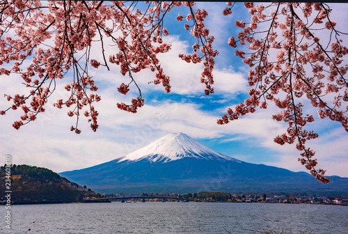 Mt.Fuji and the cherry blossoms of Fuji Kawaguchiko01