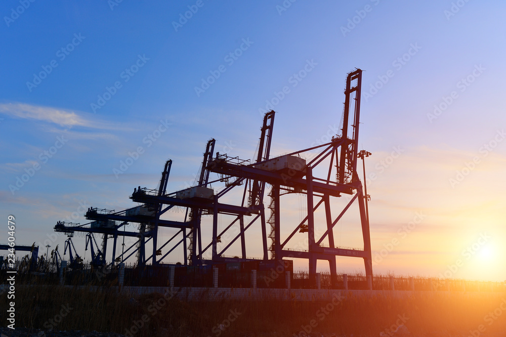 Port crane bridge and bulk carrier