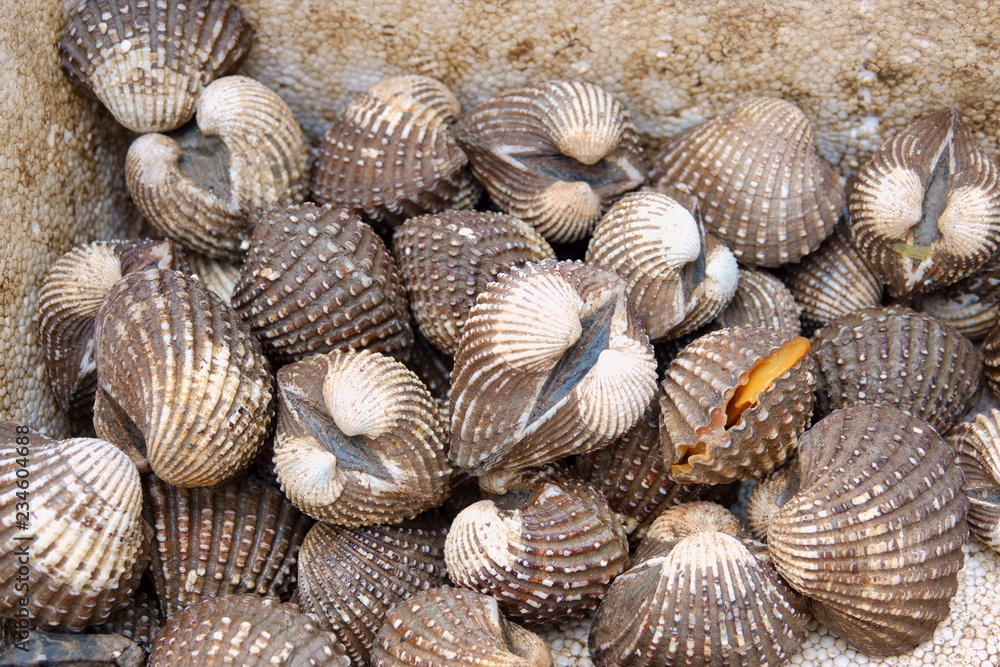 Fresh raw sea cockles clams display for sale at seafood market or Thai street food