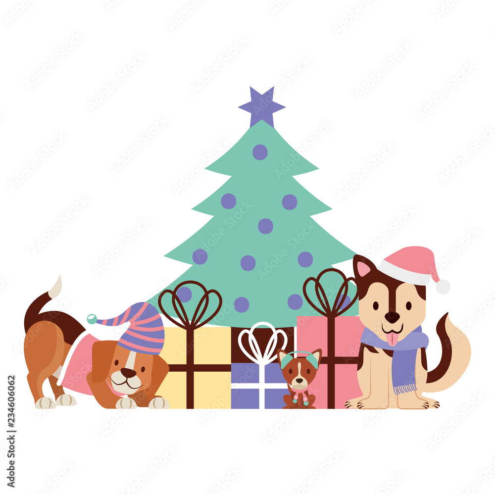 dog merry christmas card dog merry christmas card
