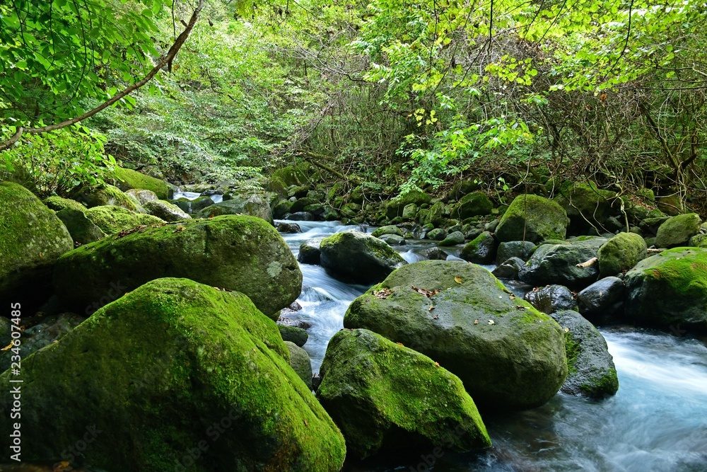 Fototapeta premium 尚仁沢ブルーの渓谷美＠栃木