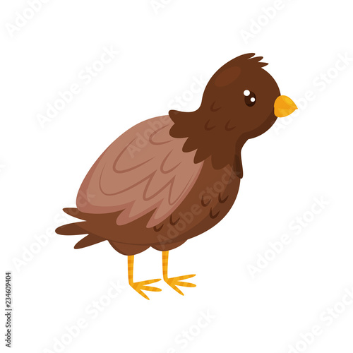 Young brown chicken with orange beak and legs. Farm animal. Domestic fowl. Flat vector icon