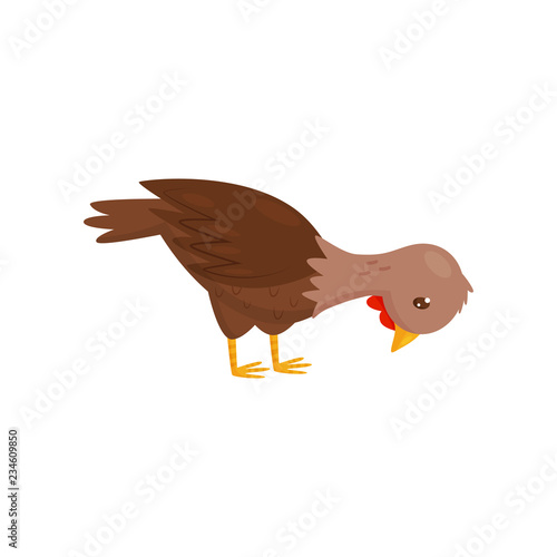 Flat vector icon of young chicken. Farm bird with brown feathers. Domestic fowl. Poultry farming