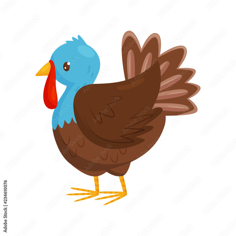 Flat vector portrait of turkey with blue head and brown body. Farm bird. Poultry farming. Domestic fowl