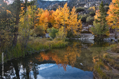 Fall color at Eastern Sierra  California
