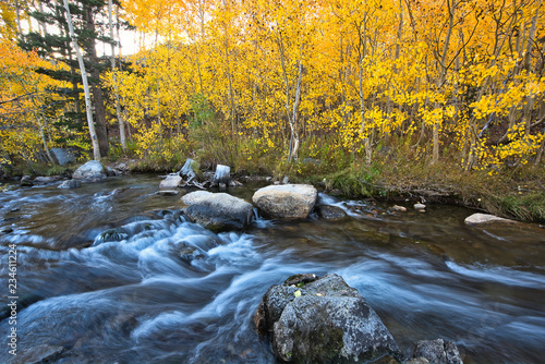 Fall colors at Bishop rock creek