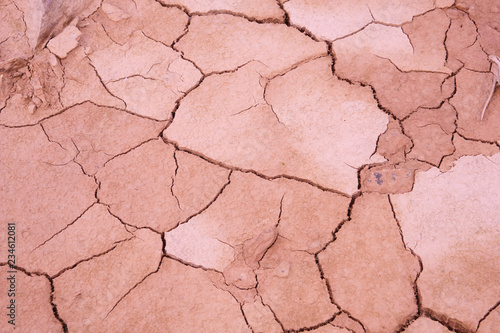 Drylands are defined by a scarcity of water, evaporation from surfaces and transpiration by plants.