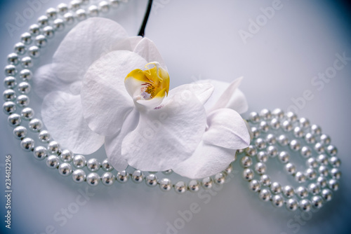 pearl and white orchid on a white glas 