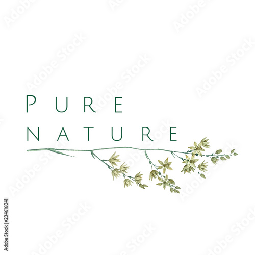 Pure nature logo design vector