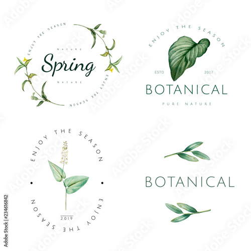 Set of nature and plant logo vectors