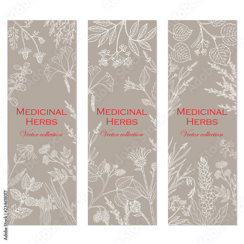 Banners with hand drawn medicinal herbs and plants