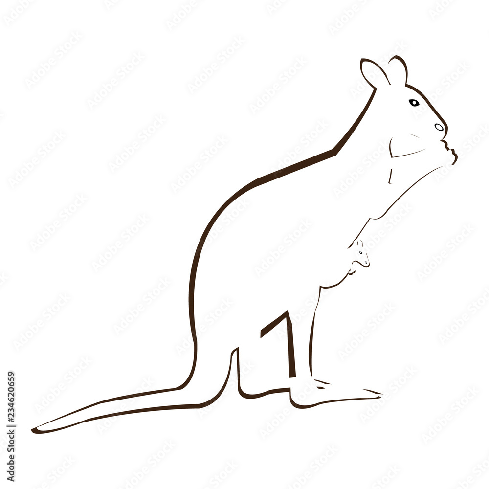 Vector outline of kangaroo with baby in pouch Vector outline of kangaroo with baby in pouch