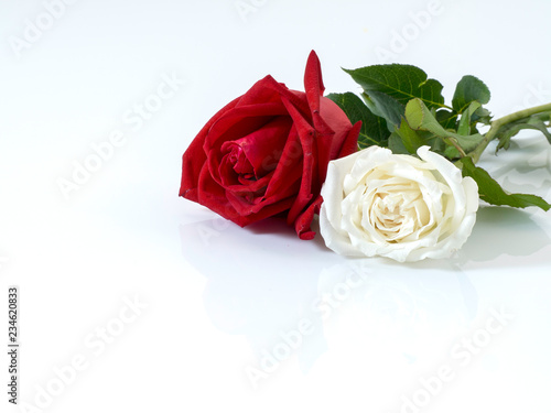 White roses with red roses on white