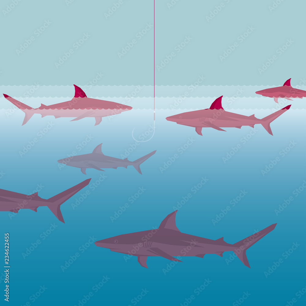 Obraz premium Sharks in the ocean, a hook hanging from above.