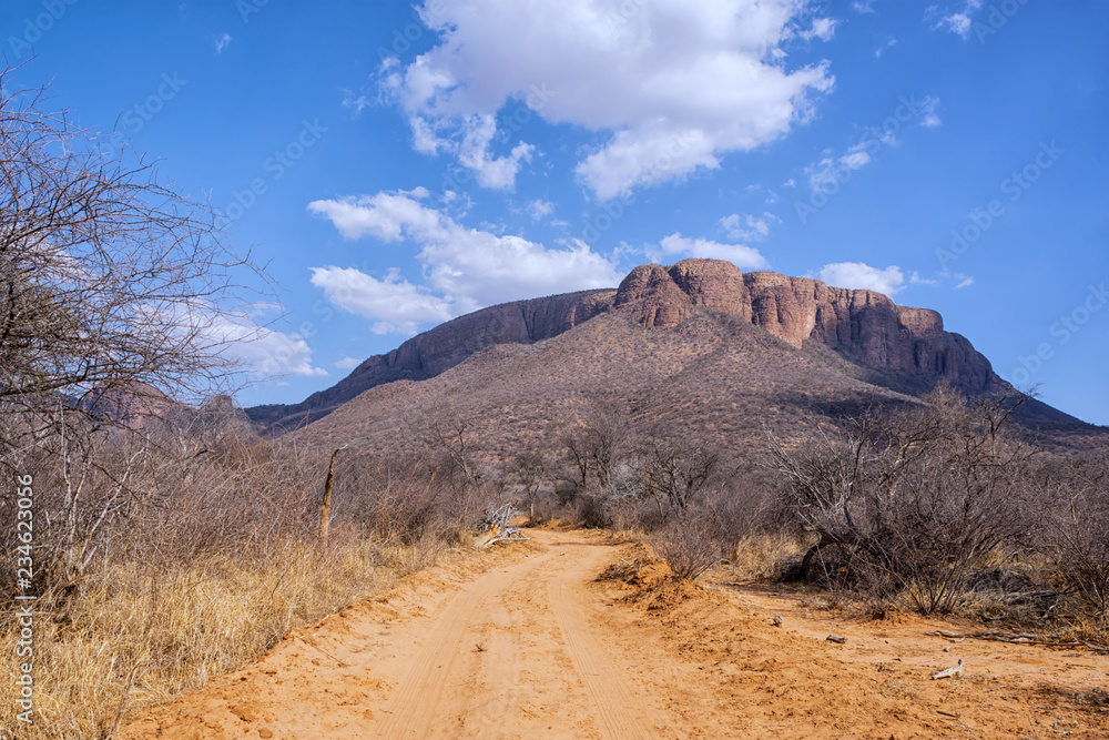 Fototapeta premium African Landscape