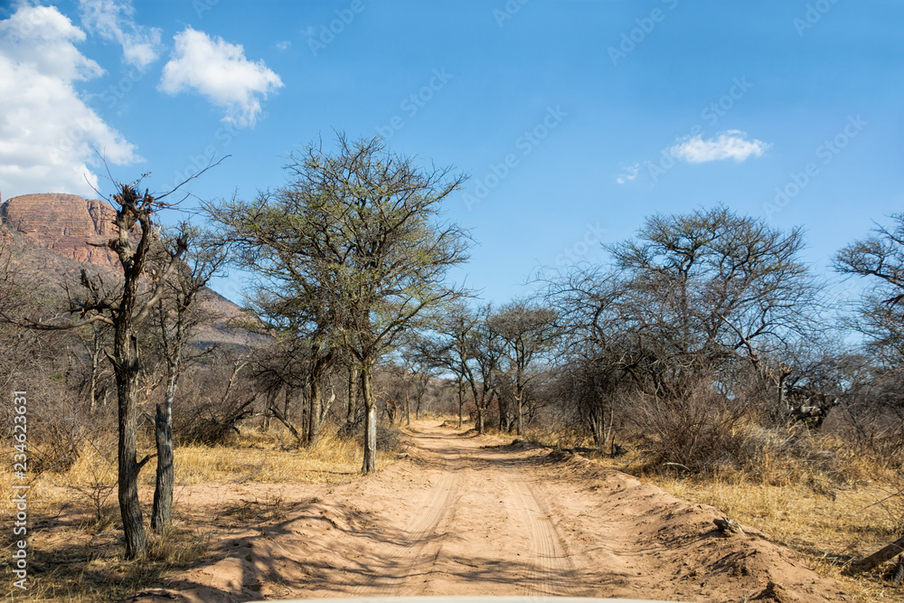 Fototapeta premium African Landscape