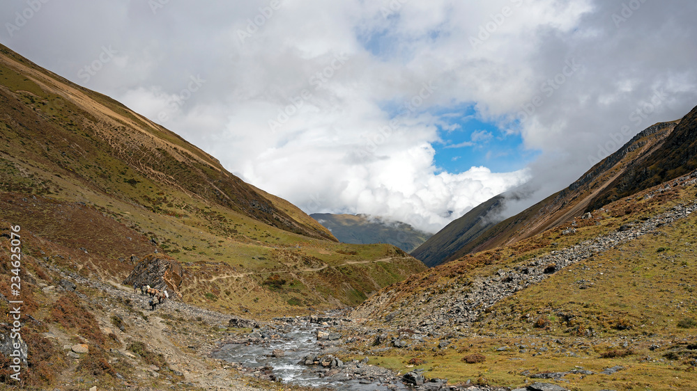 Fototapeta premium Horse train carrying the camp along Jomolhari trek, Bhutan.